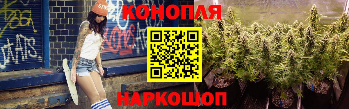 Полысаево  Каннабис Bruce Banner  Вход с VPN  Марихуана сатива  Марихуана марихуана 